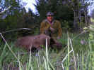 Montana Spring Bear 2007 034.jpg (111684 bytes)