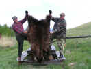 Montana Spring Bear 2007 065.jpg (82163 bytes)